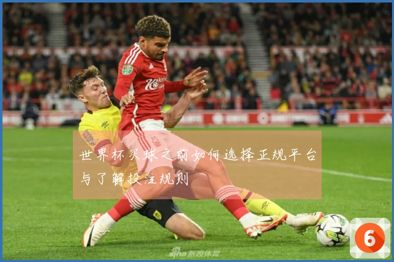 世界杯买球之前如何选择正规平台与了解投注规则