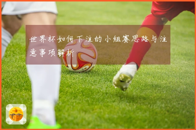 世界杯如何下注的小组赛思路与注意事项解析