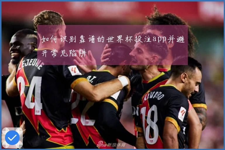 如何识别靠谱的世界杯投注app并避开常见陷阱