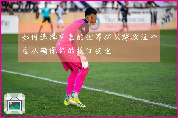 如何选择可靠的世界杯买球投注平台以确保你的投注安全