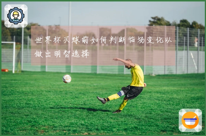 世界杯买球前如何判断临场变化以做出明智选择