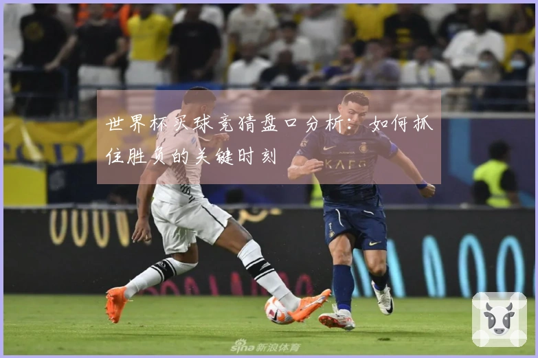 世界杯买球竞猜盘口分析：如何抓住胜负的关键时刻